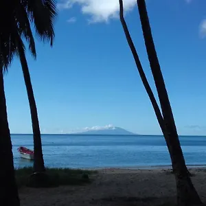 https://palm-view-laborie.comcaribbean.com